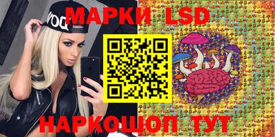 спайс Камышлов