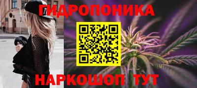 jwh Кандалакша
