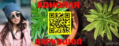 спайс Камышлов