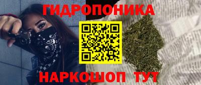 ALPHA PVP Канаш