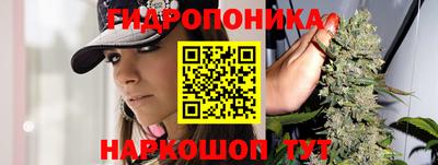 jwh Кандалакша